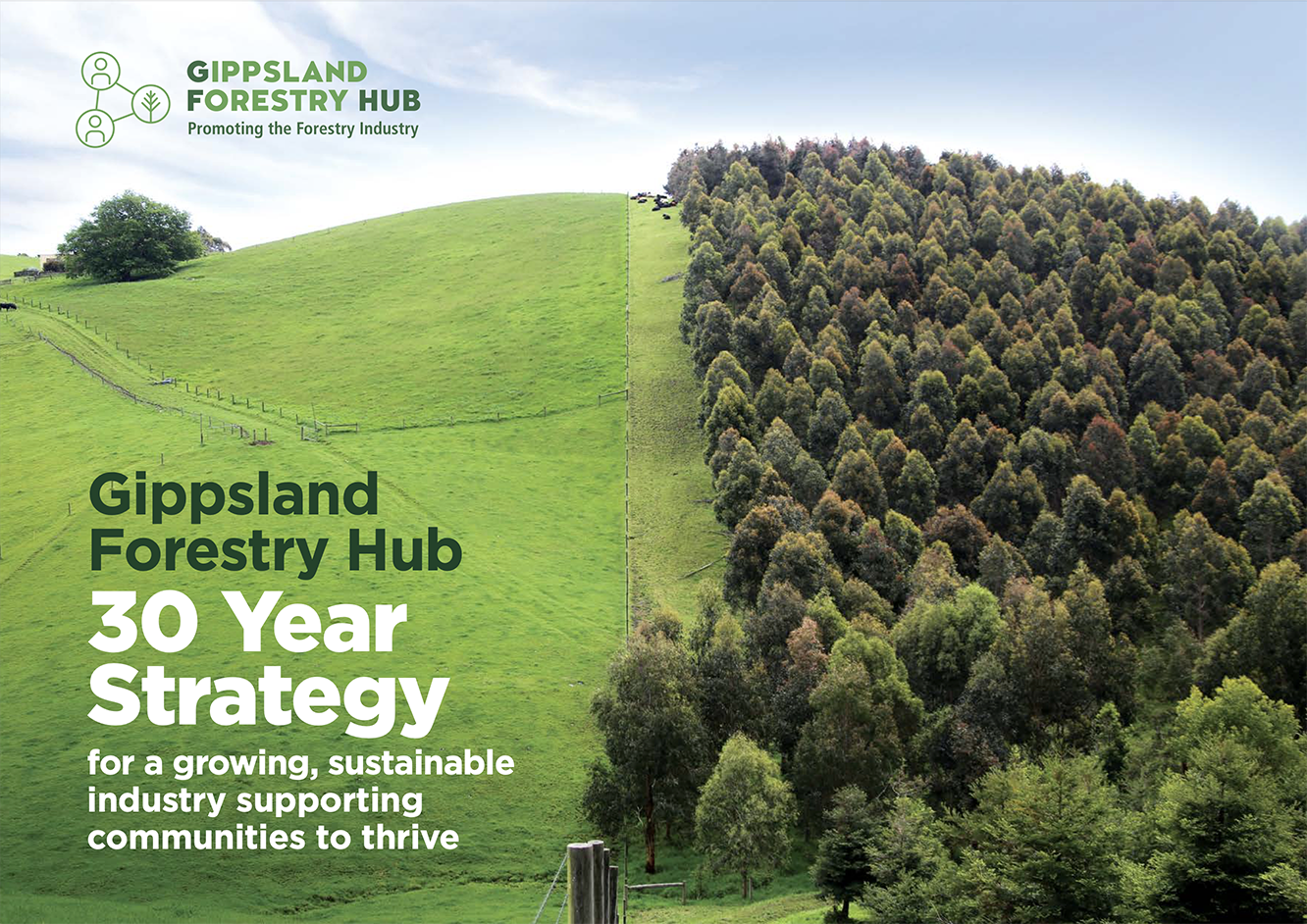 Image of the cover of the GF Hub 30 year Strategy