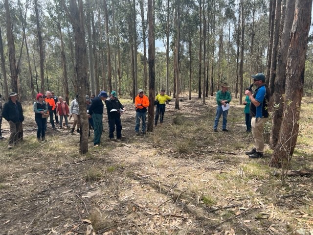 VicForests Farm Forestry Field Day - Gippsland Forestry Hub