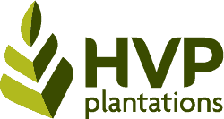 HVP logo