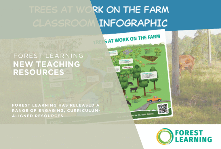 New Resources From Forest Learning