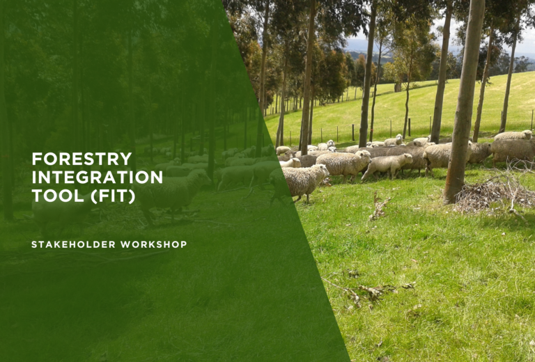 Join our Forestry Integration Tool (FIT) Stakeholder Workshop