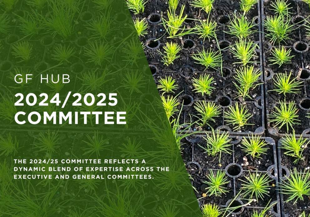 GF HUB BLOG IMAGE 2024:2025 committee