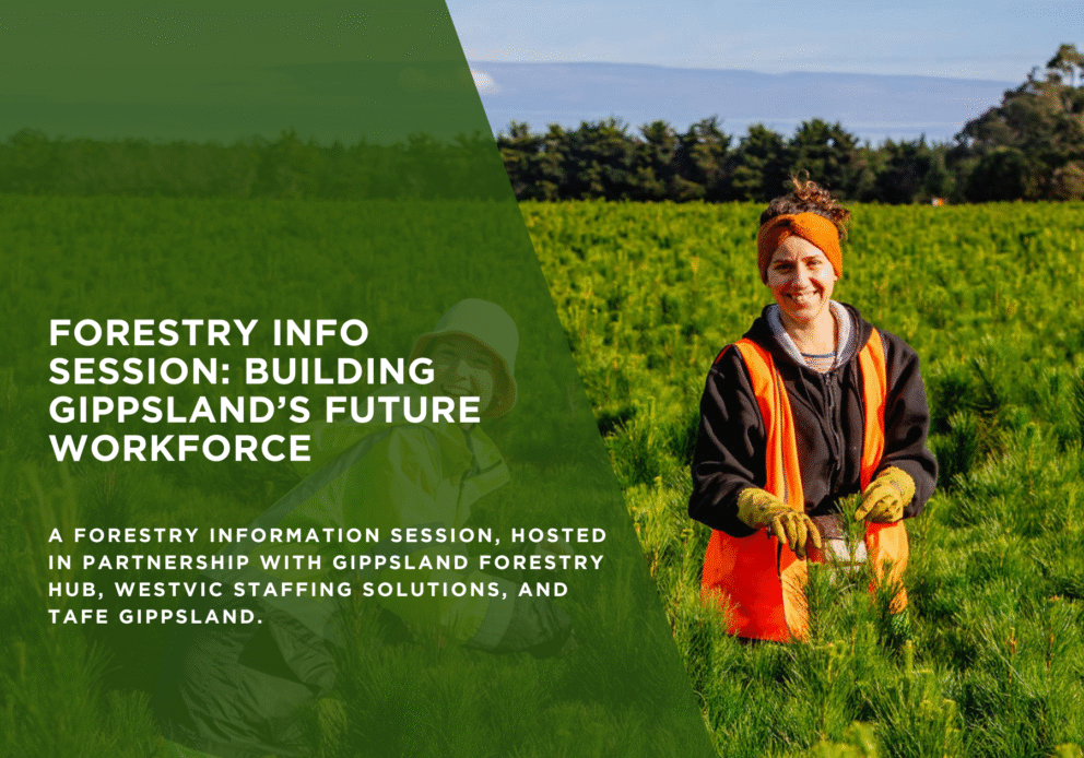 GF HUB BLOG IMAGE - forestry info session