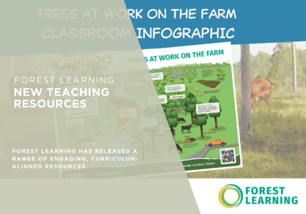 - forest learning v2